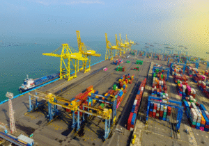 The Rise of Eco-Friendly Exports: Why Sustainable Products Are the Future of Global Trade